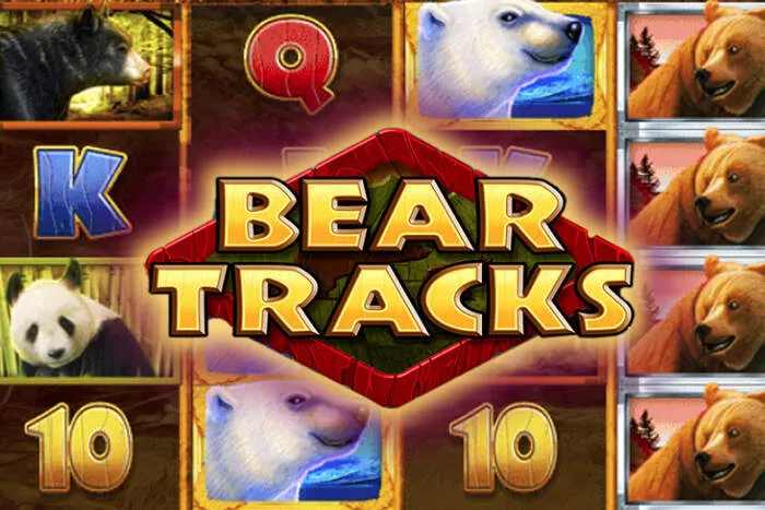 Die besten Casino Boni und Promo Codes im Überblick